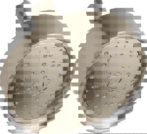 Single Function Showerhead in Vibrant Brushed Bronze